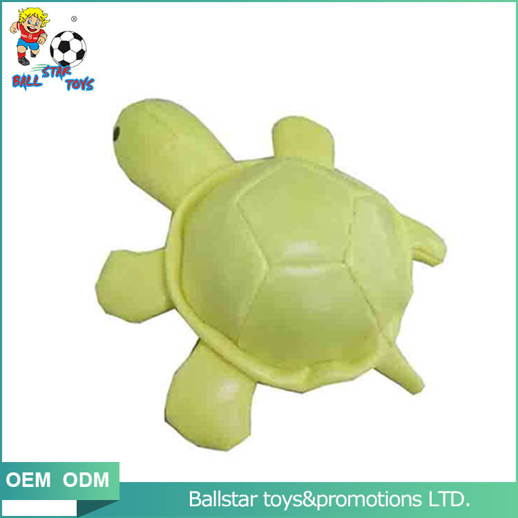 yellow animal turtle