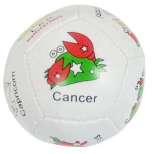 many different types of animal toy soccer ball manufacturer